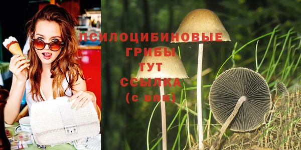МДПВ Абдулино